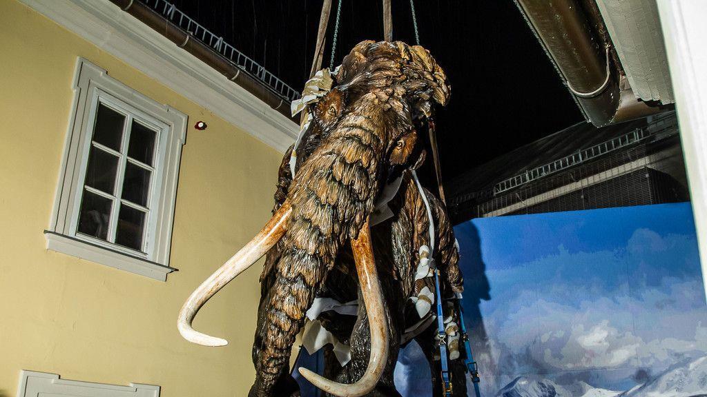 Mammut schwebt über Salzburg II