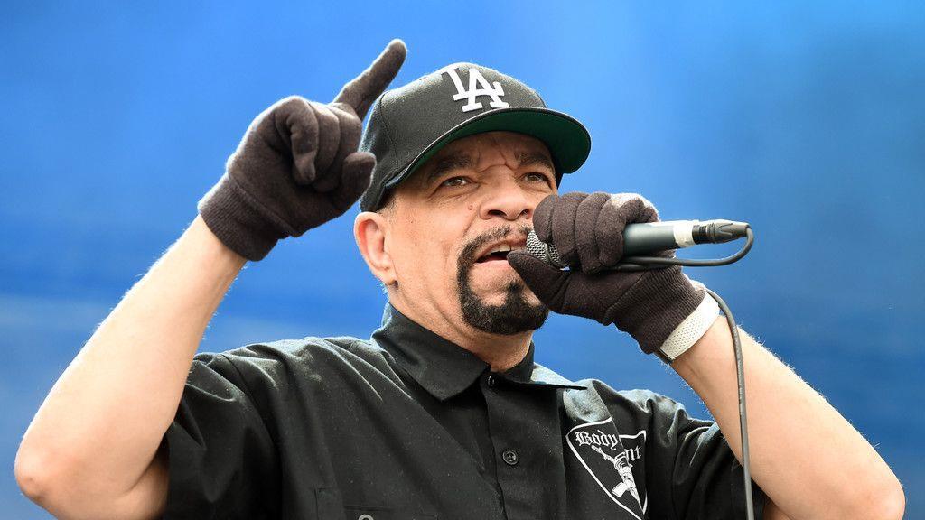 Punk und Metal beim Nova Rock