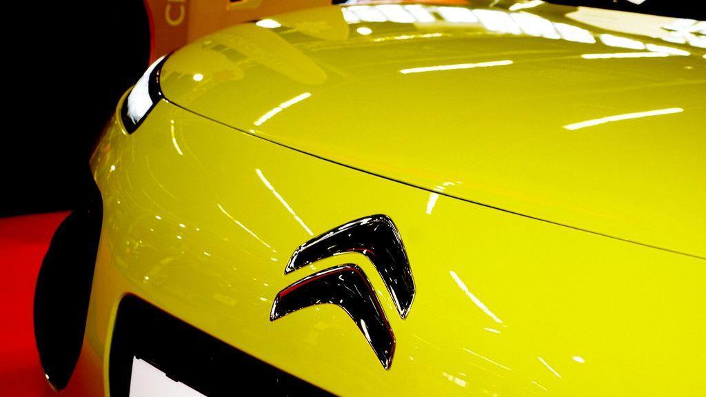 10. Auto Messe Salzburg und dritte Garten im Messzentrum
