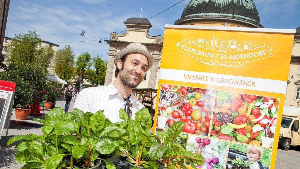 Der erste Setzlingsmarkt