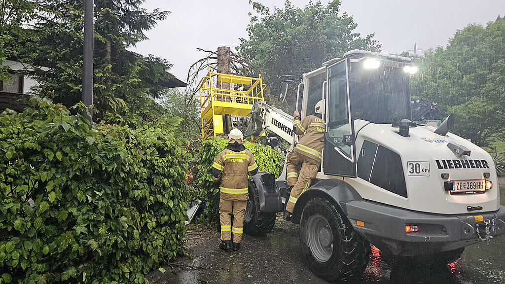 Baumfällung Kaprun