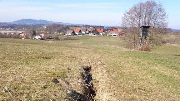 Tierkadaver in Eugendorf