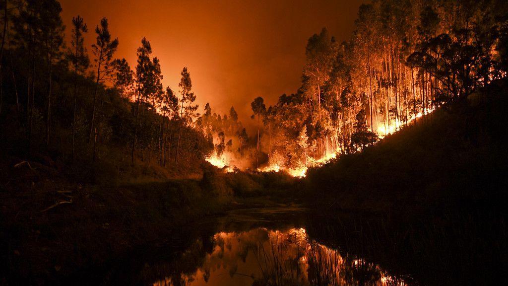 Waldbrand in Portugal