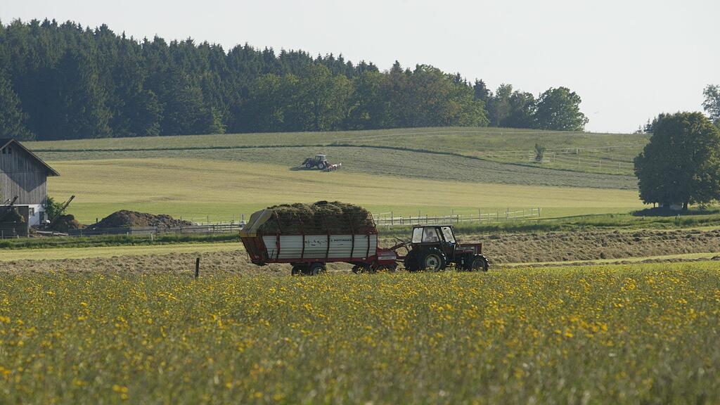 Der Landwirt war mit der Heuernte beschäftigt, als es zur Auseinandersetzung kam. (Symbolbild)