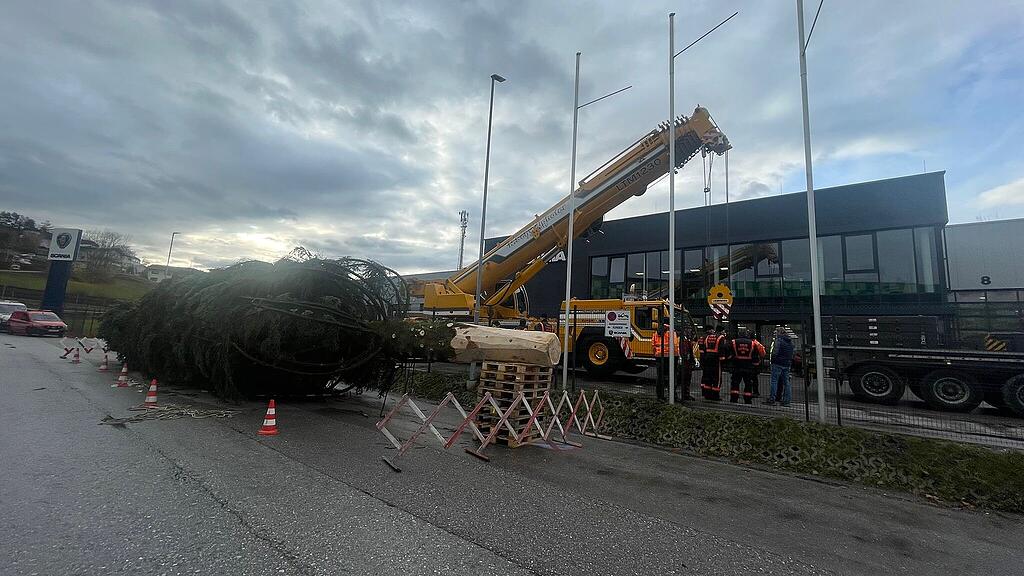 Christbaum wird verladen