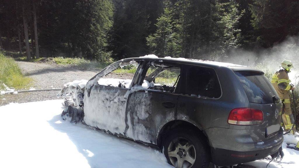 Der Lenker und sein Beifahrer konnten in letzter Sekunde ihre Habseligkeiten aus dem Auto retten.