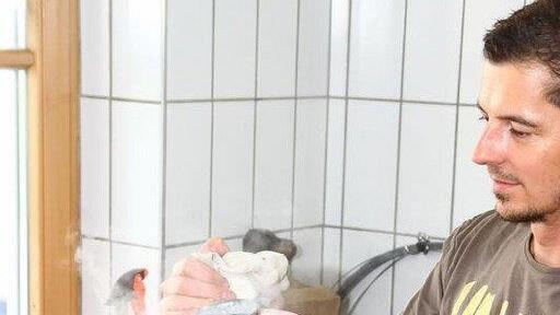 Tag der offenen Tür in Elsbethen