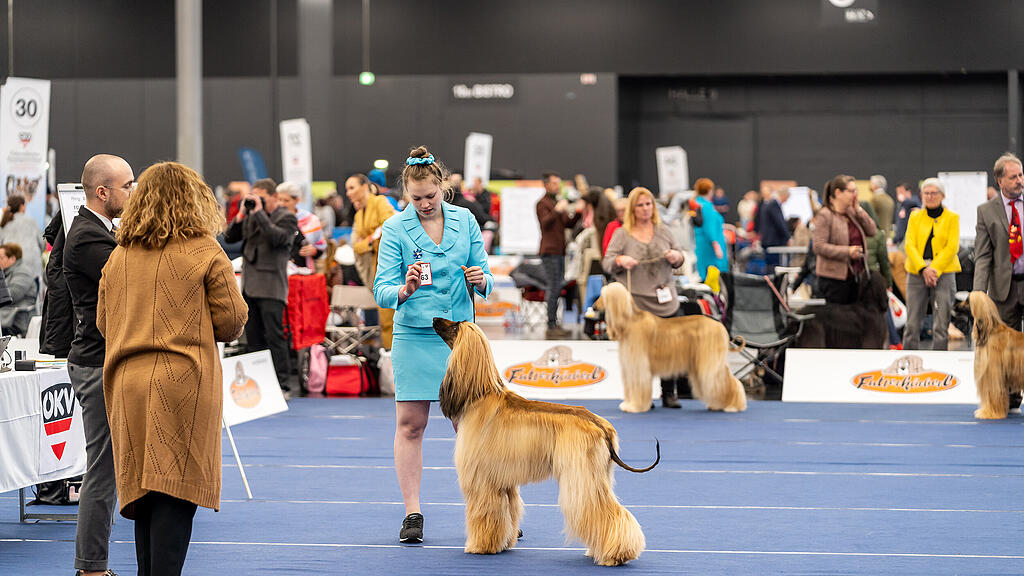 Internationale Hundeausstellung Salzburg 2022