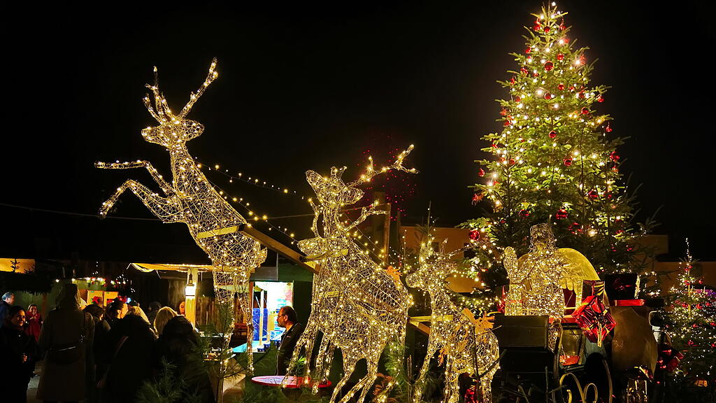 20231123fmt_hellbrunn_ta_011.JPG