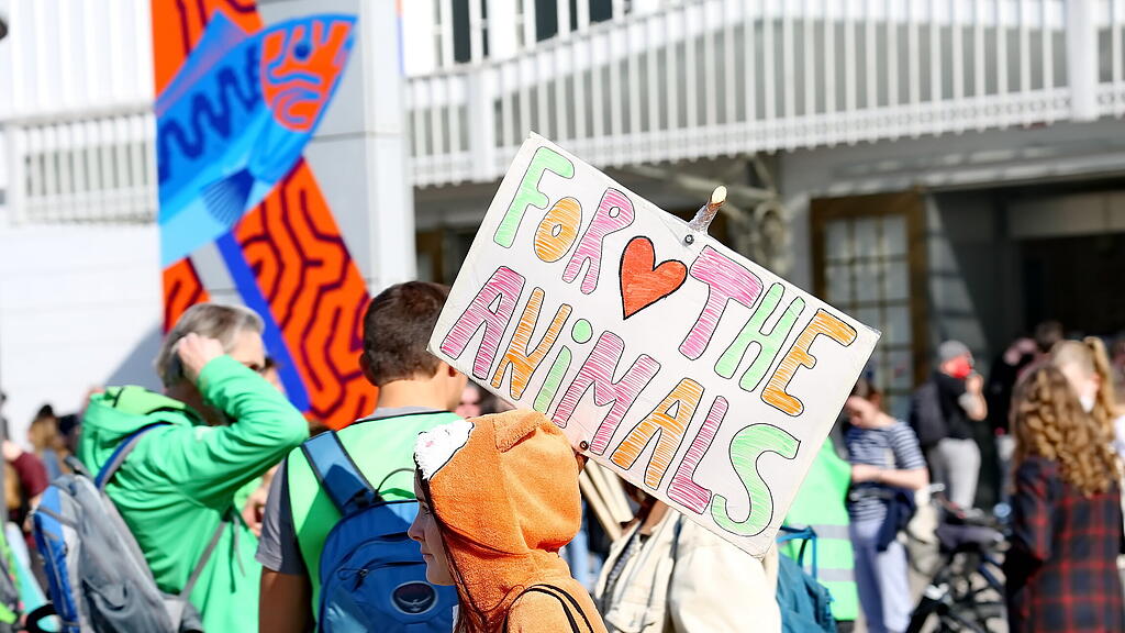Klimastreik in Salzburg