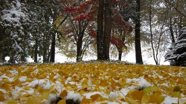 So schön kann der Winter sein