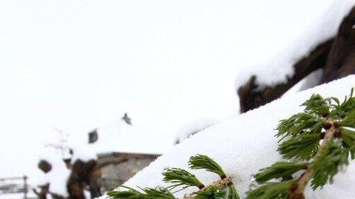 Schnee in Mühlbach/Hochkönig