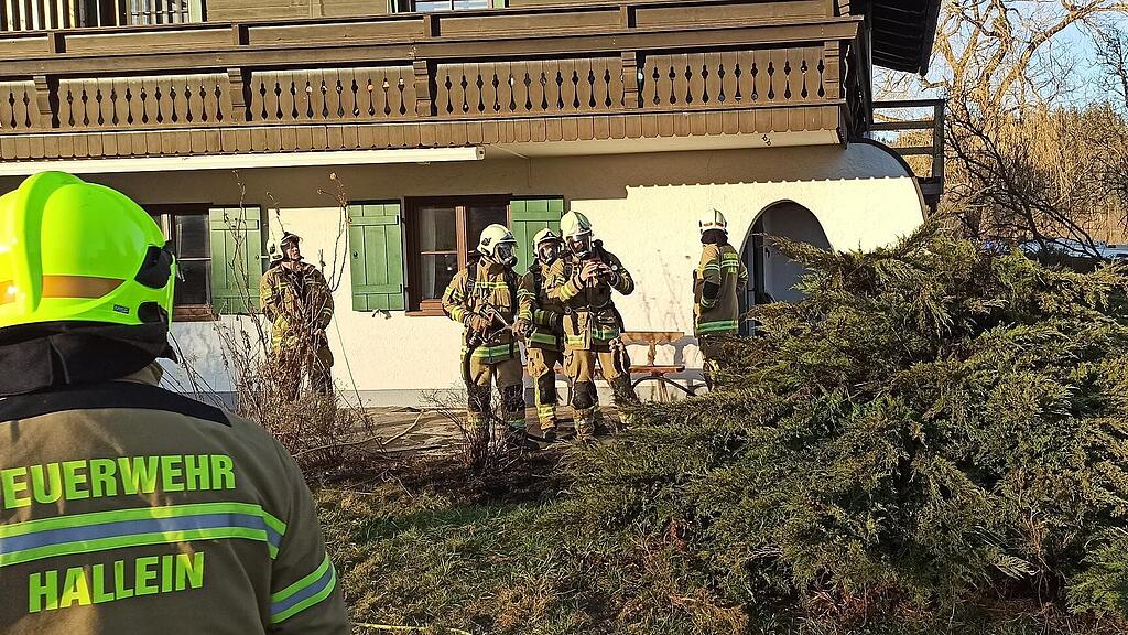 heckenbrand Hallein