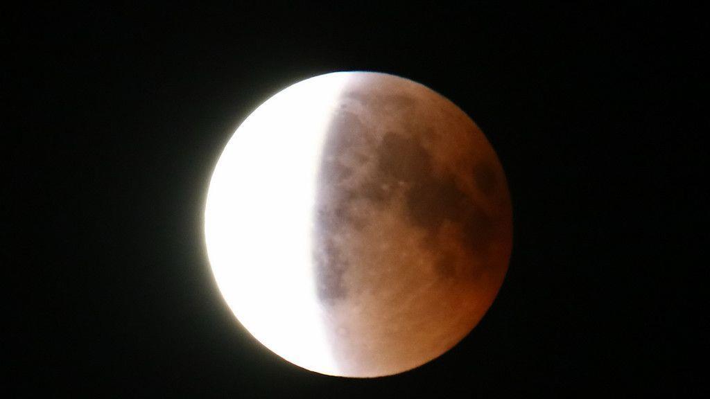 Bilder der Mondfinsternis