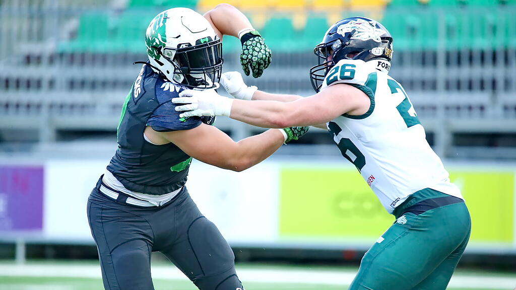 Football: Ducks gegen Dragons 2025
