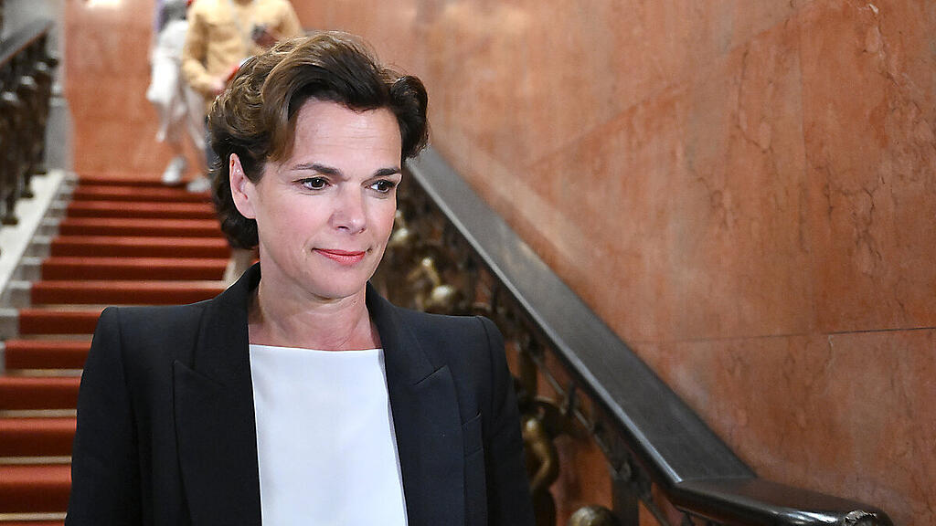 Rendi-Wagner verzichtet auf Linz-Reise