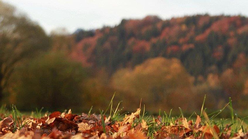 Spaziergang durch den Flachgau