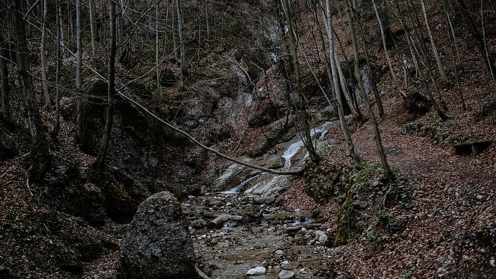 Nachmittagsspaziergang Hexenloch