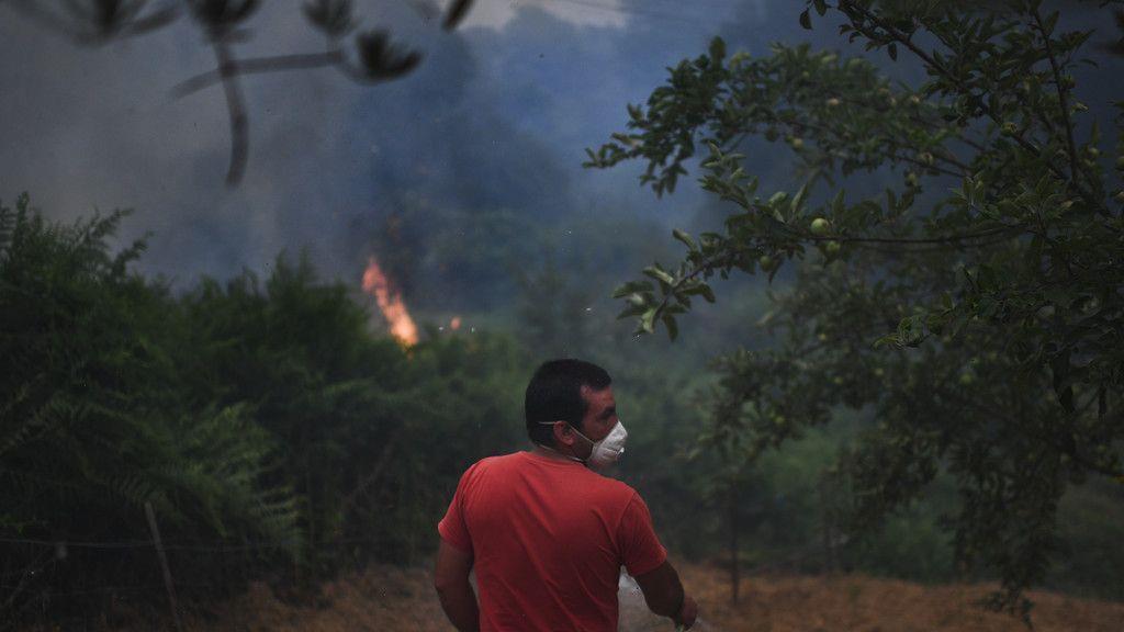 Waldbrand in Portugal