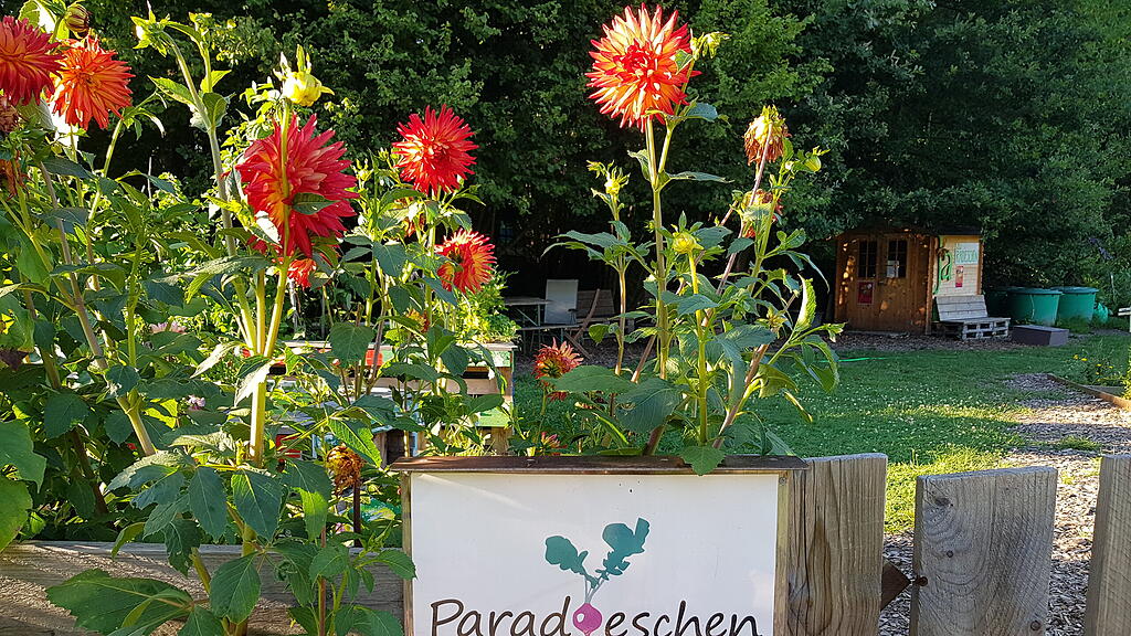 Gartengemeinschaft Paradieschen II