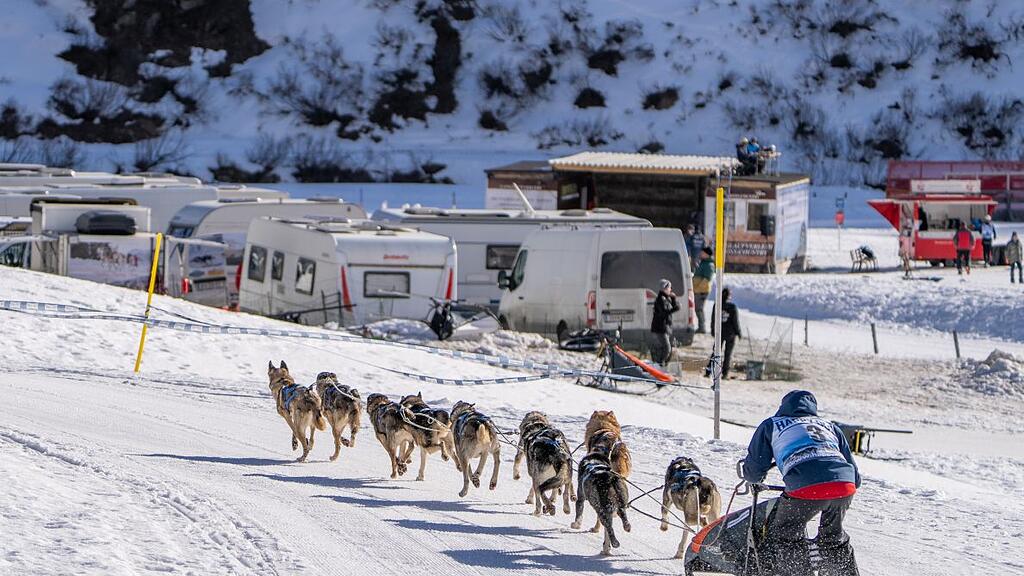 Schlittenhunderennen in Sportgastein