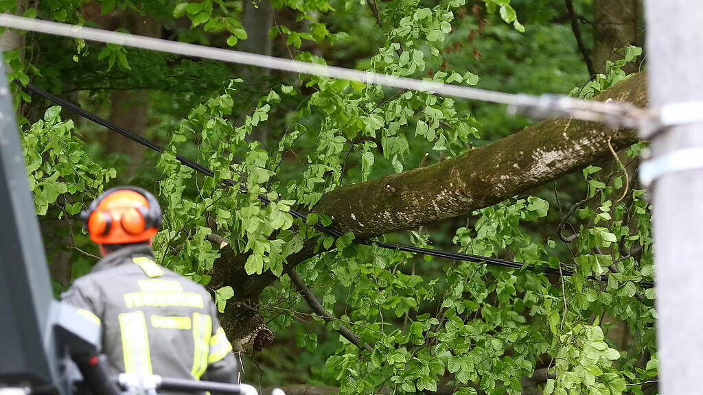 Baum fällt auf Stromleitung