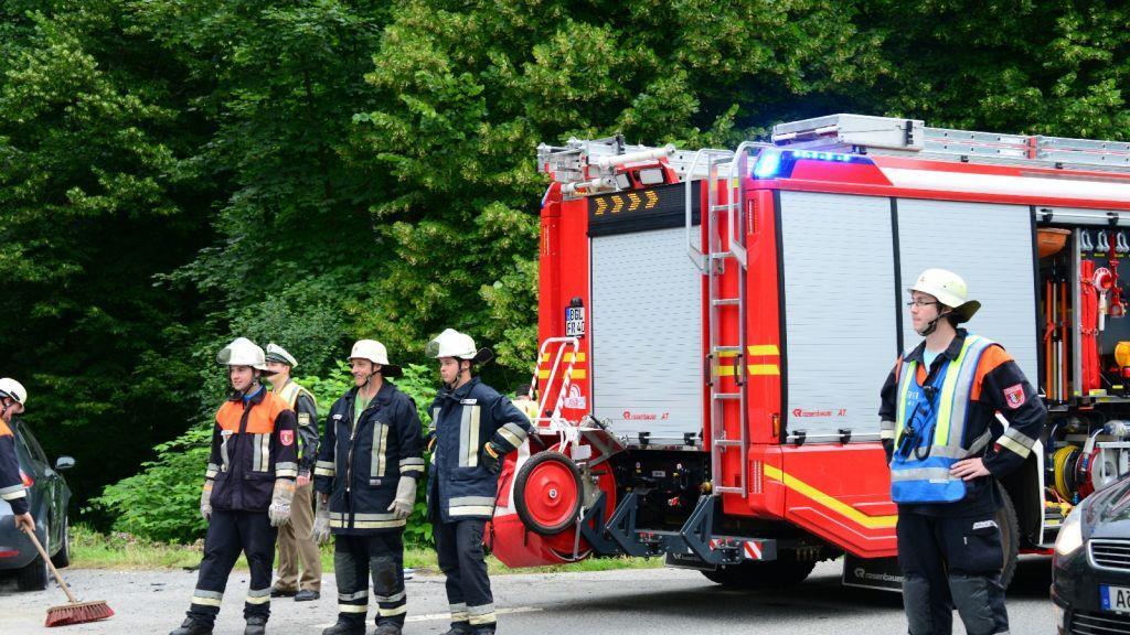 Pinzgauerinnen in Bayern verletzt, I