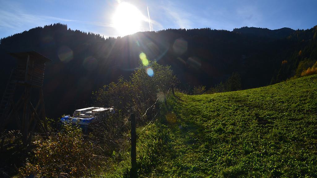 Großarl: Muli-Absturz fordert Todesopfer