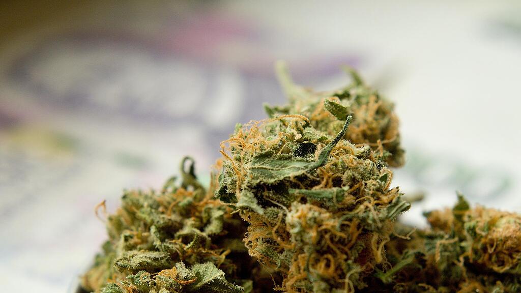 symb_cannabis symb_marihuana symb_drogen symb_gras