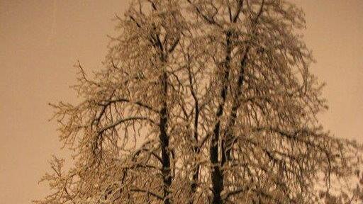 Erster Schnee in Salzburg