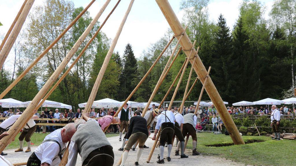 Maibaumaufstellen im Freileichtmuseum