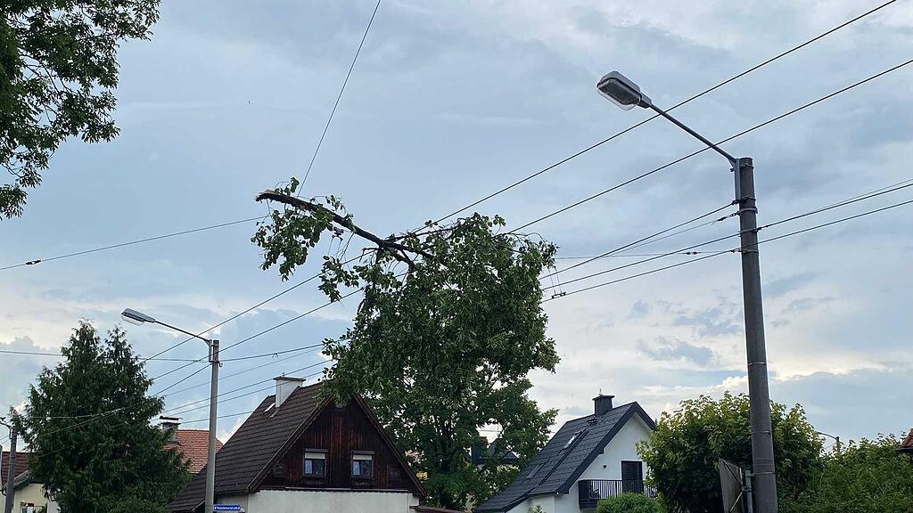 Unwetter in Salzburg-Stadt: Baum stürzt auf Obus-Leitung