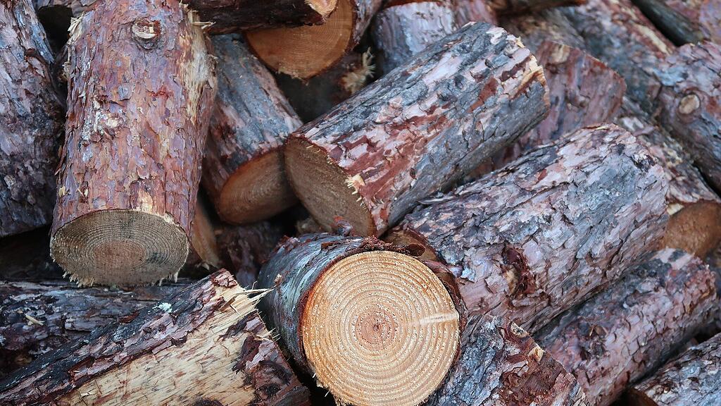 Holz Baum Stamm