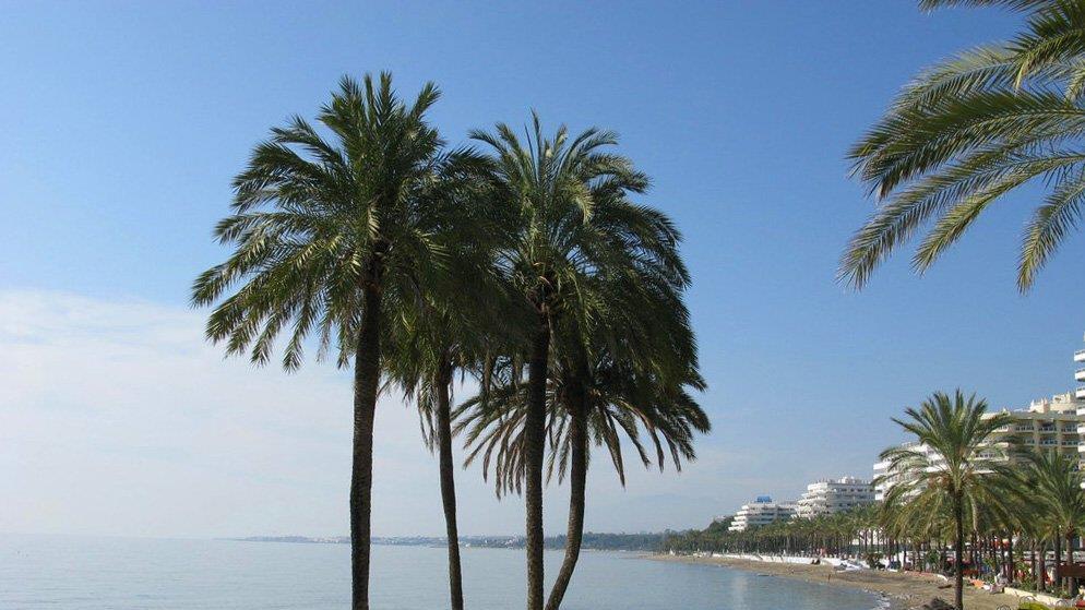 Promistrände: Urlauben wie der Jet-Set!