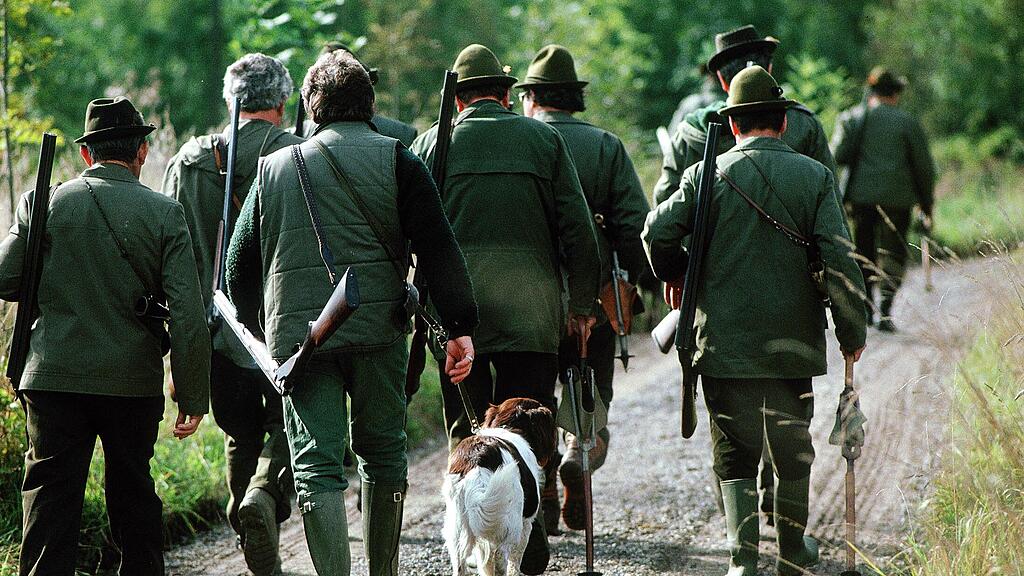 Die Gatterjagd ist in Salzburg ein strittiges Thema. (Symbolbild)