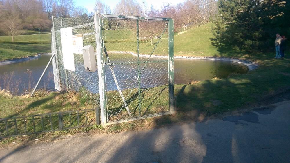 Der Teich in Wien-Favoriten, in den die beiden Kinder gefallen sind.