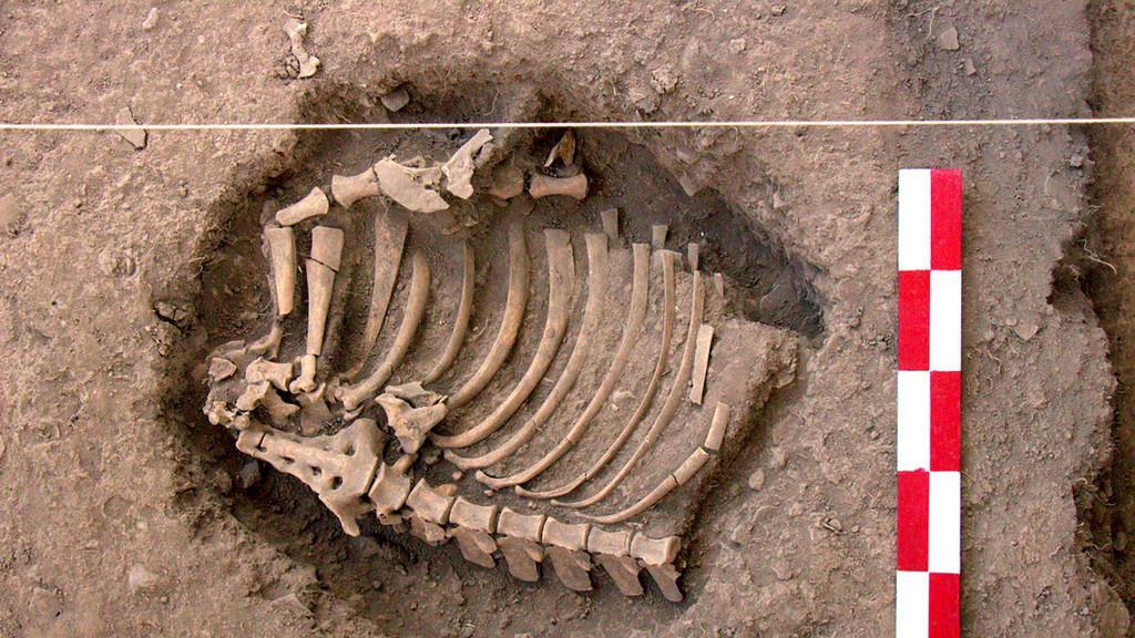 3.000 Jahre alte Menschenskelette in Peru entdeckt