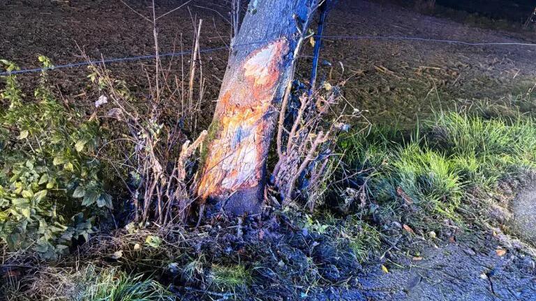 Alkolenker (23) bei Crashfahrt in Maishofen verletzt