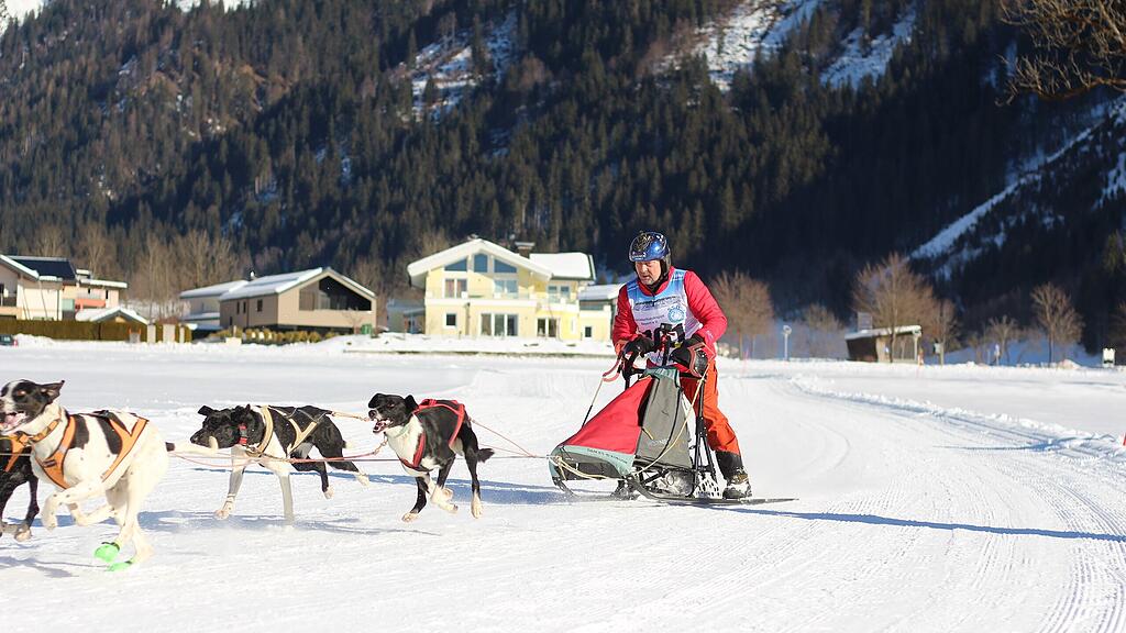 26. Schlittenhunderennen