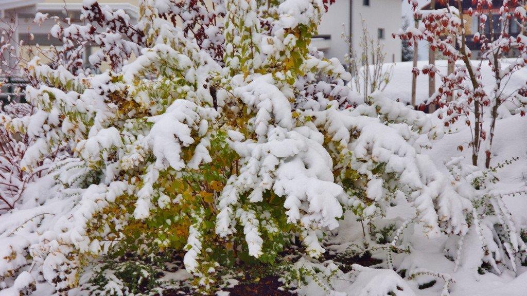 Winterwetter in Oberösterreich