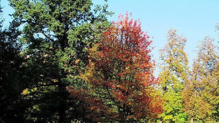 Herbstbilder aus Hellbrunn