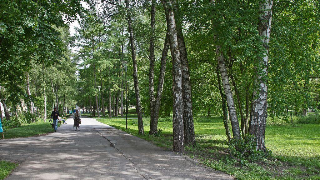 Lehener Park wird zur Schutzzone erklärt