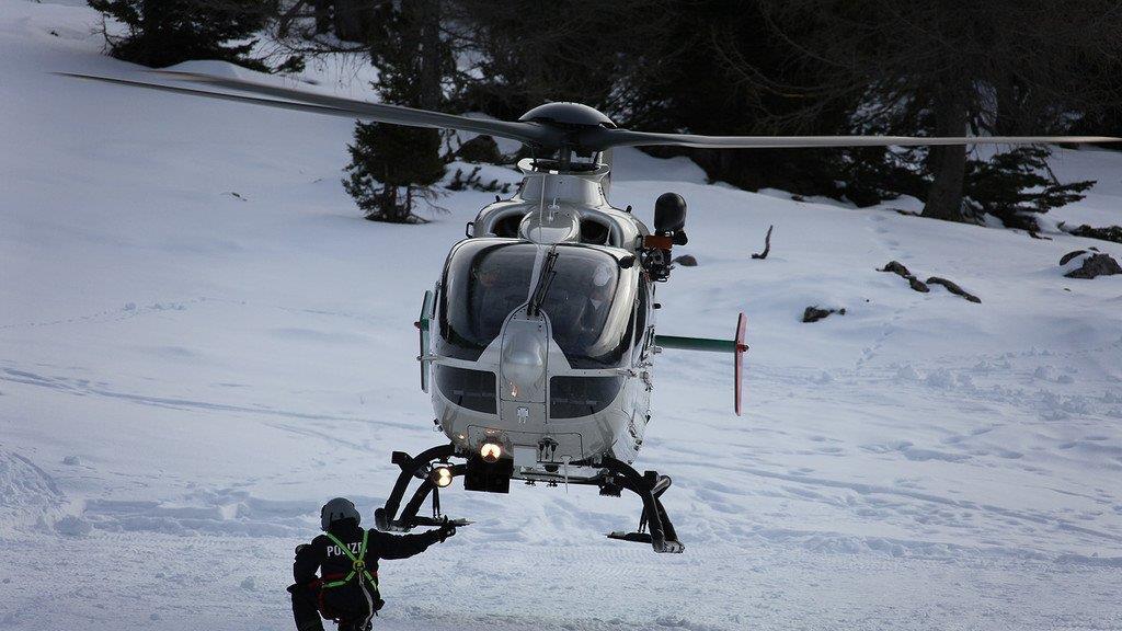 Superhunde im Einsatz