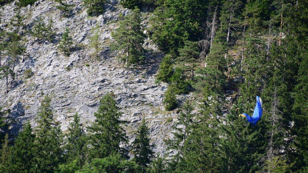 Paragleiter bleibt in Baum hängen