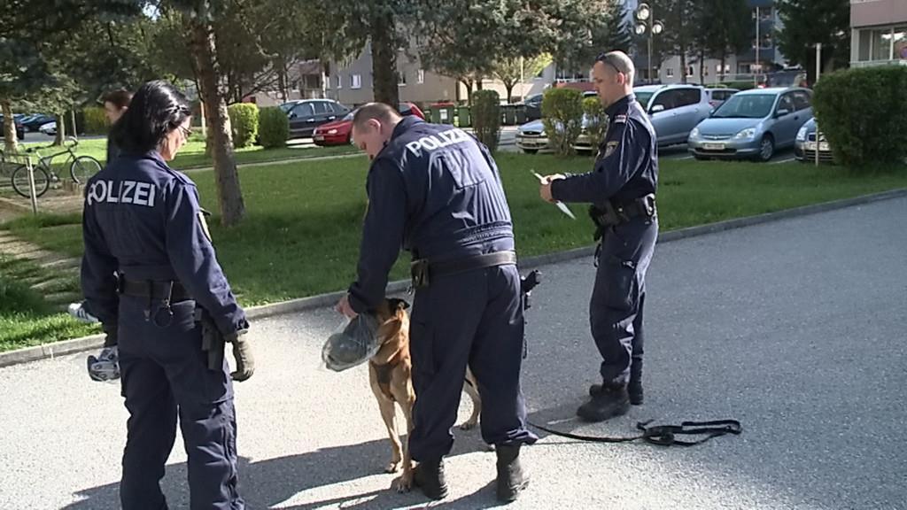 Großfahndung nach Überfall in Hallein II