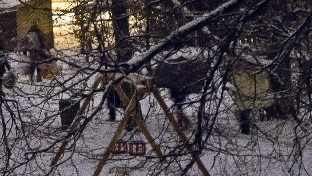 Bettlerlager im Struberpark in der Stadt Salzburg aufgelöst
