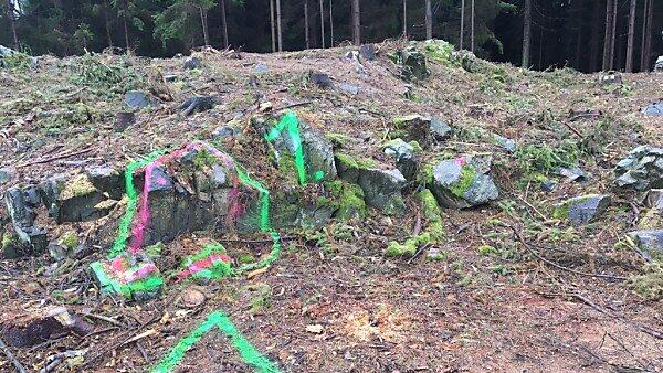 Die Leiche wurde Ende Oktober von Waldarbeitern entdeckt