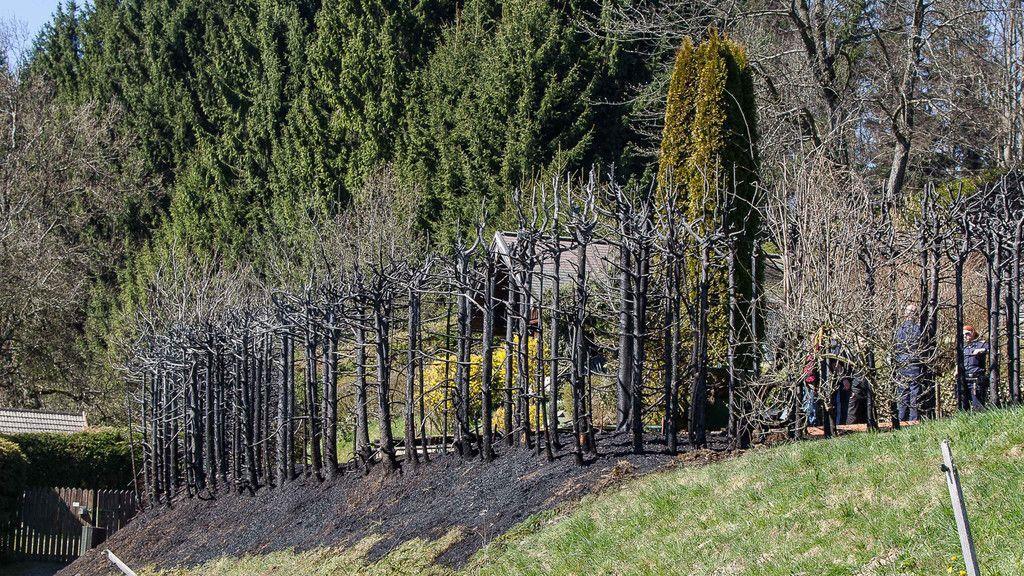 Heckenbrand in Henndorf