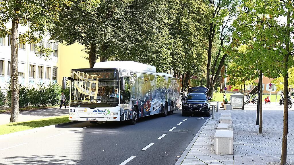 Bus, Albus, SB