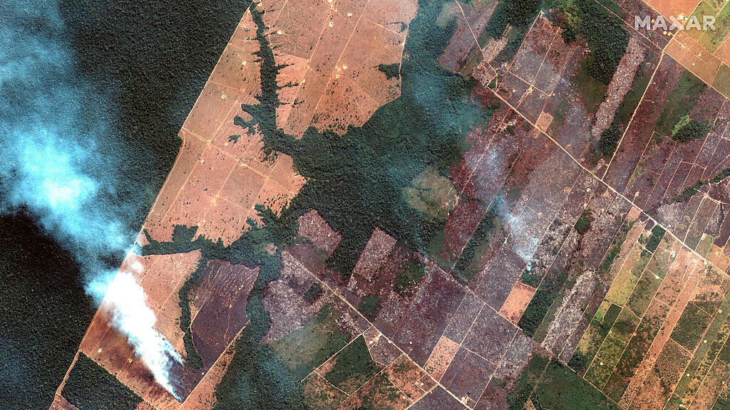 Waldbrände in Brasilien